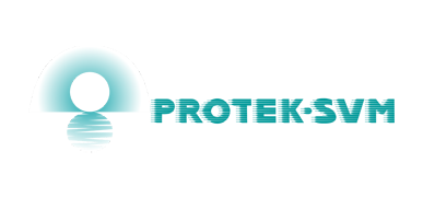 Large logo of Firm Protek-SVM