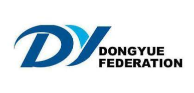 Large logo of Dongyue Group