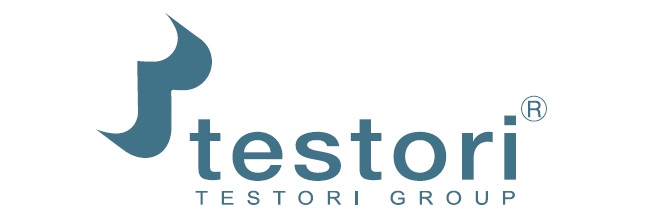 Large logo of Testori Group