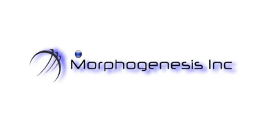 Large logo of Morphogenesis