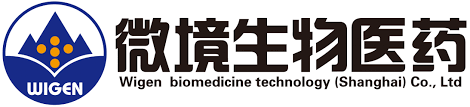 Large logo of Wigen Biomedicine Technology