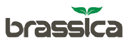 Large logo of Brassica Pharma