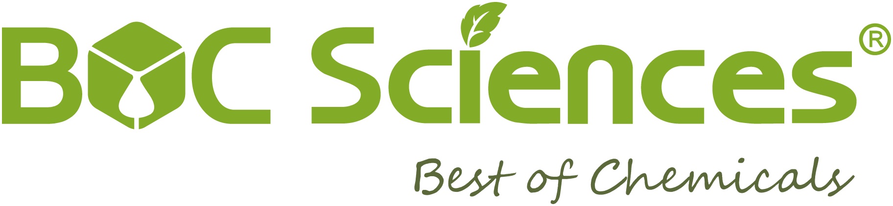 Large logo of Boc Sciences
