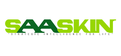 Large logo of Saaskin