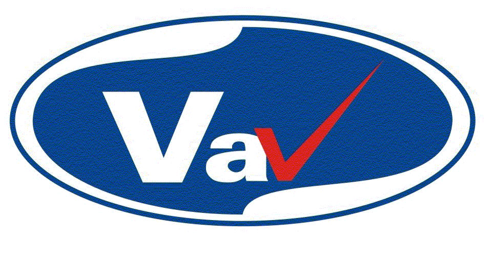 Large logo of VAV Lipids