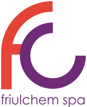 Large logo of Friulchem