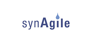 Large logo of Synagile