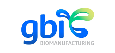 Large logo of Gbi