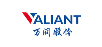 Large logo of Yantai Valiant Fine Chemicals