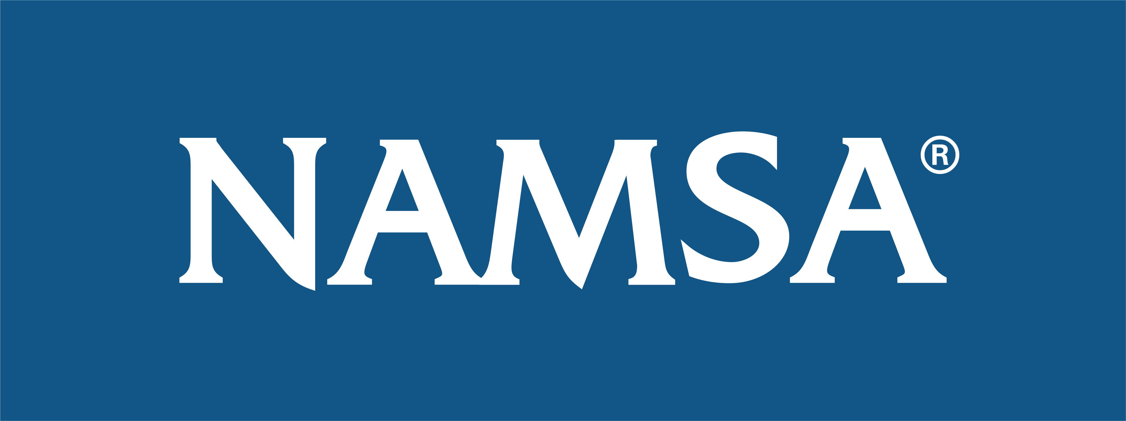 Large logo of Namsa