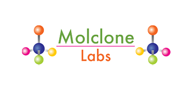 Large logo of Molclone