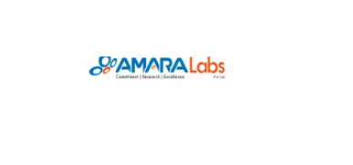 Large logo of Amara Labs