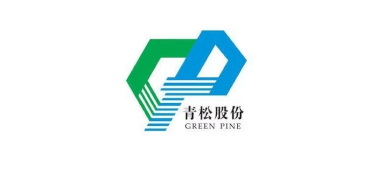 Large logo of Fujian Qingsong