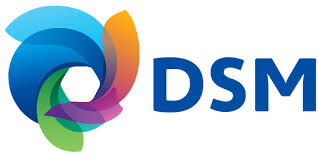 Large logo of DSM