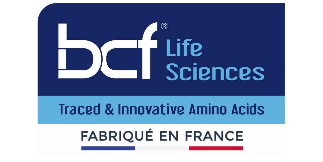 Large logo of BCF Life Sciences