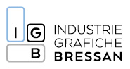 Large logo of Igb