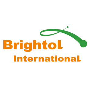 Large logo of Shanghai Brightol International