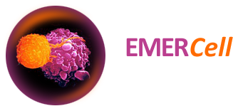 Large logo of Emercell