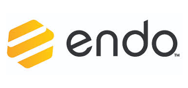 Large logo of Endo Pharm