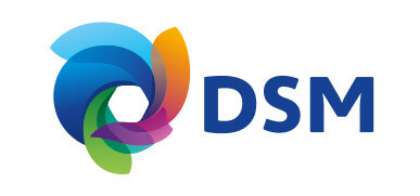 Large logo of Royal DSM