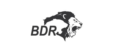 Large logo of BDR Lifesciences