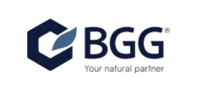 Large logo of BGG