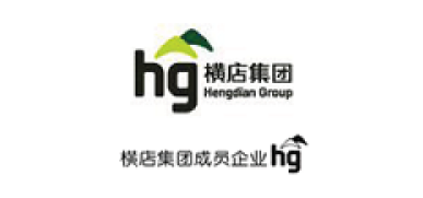 Large logo of Hengdian Group