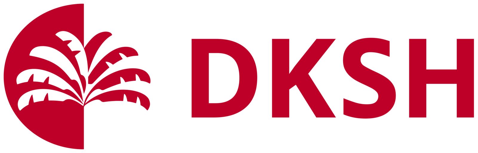 Large logo of DKSH