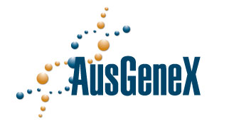 Large logo of Ausgenex