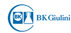 Large logo of Bk Giulini